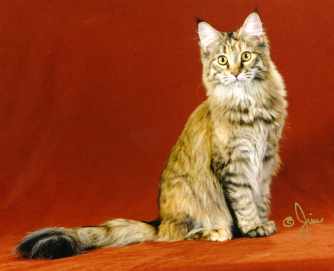 Photo by Jim Brown/Pheline Photography (c) 2001. All rights reserved.